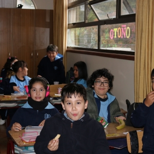 Día de la Actividad Física